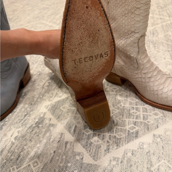 Tecova Savannah Bone Python size 8.5 - Picture 11 of 12